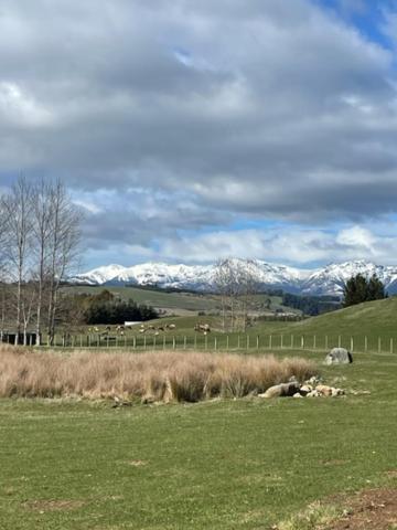 Boutique Tiny House - Te Anau Country Accommodation ภายนอก รูปภาพ